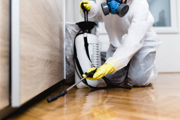 Reliable Fairfax, OK Pest Control Solutions