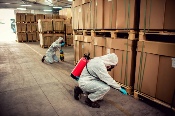 Best Affordable Pest Control Services  in Fairfax, OK