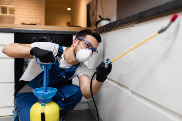 Best Cockroach Control Services  in Fairfax, OK