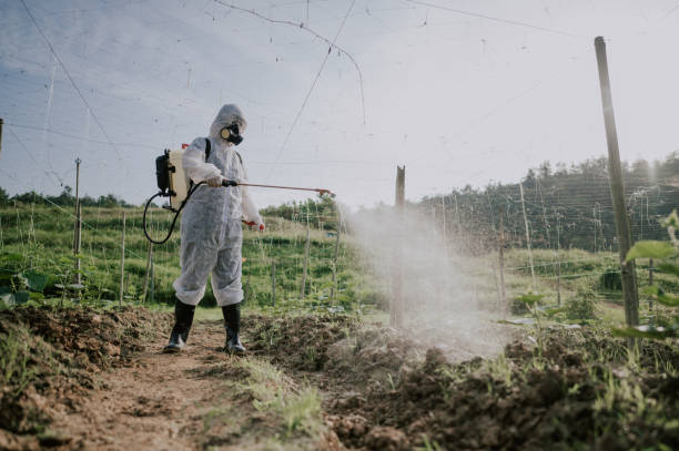 Best Commercial Pest Control Services  in Fairfax, OK