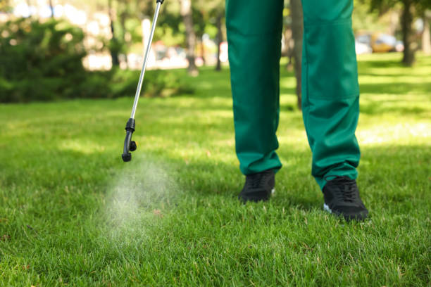 Best Local Pest Control Services  in Fairfax, OK