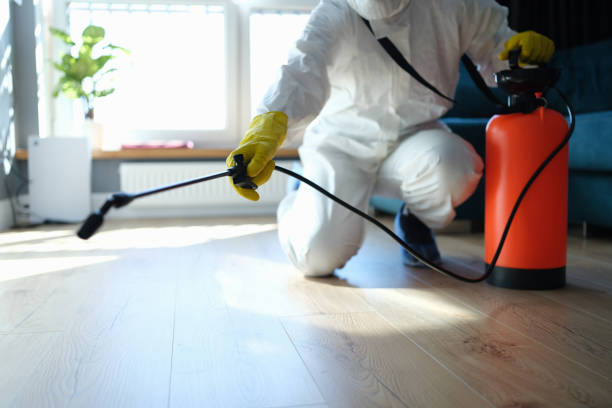 Best Pest Prevention Services  in Fairfax, OK