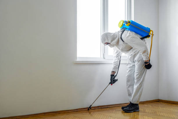 Best Pest Control for Homes  in Fairfax, OK