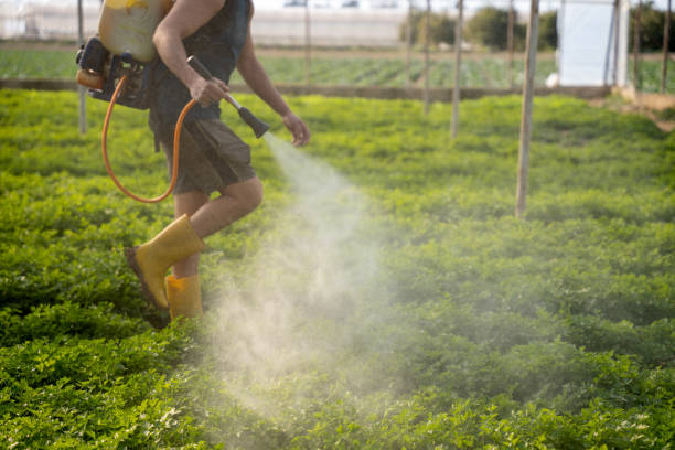 Best Residential Pest Control  in Fairfax, OK