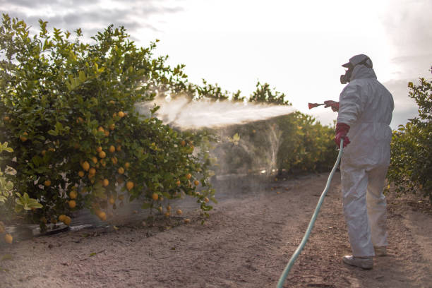 Best Affordable Pest Control Services  in Fairfax, OK