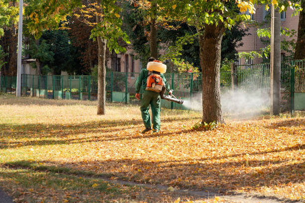 Best Wildlife Control Services  in Fairfax, OK
