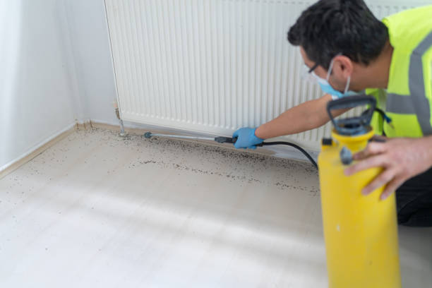Best Affordable Exterminators  in Fairfax, OK