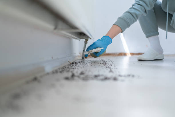 Best Best Pest Control Companies  in Fairfax, OK