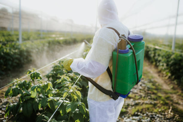 Best Local Pest Control Services  in Fairfax, OK